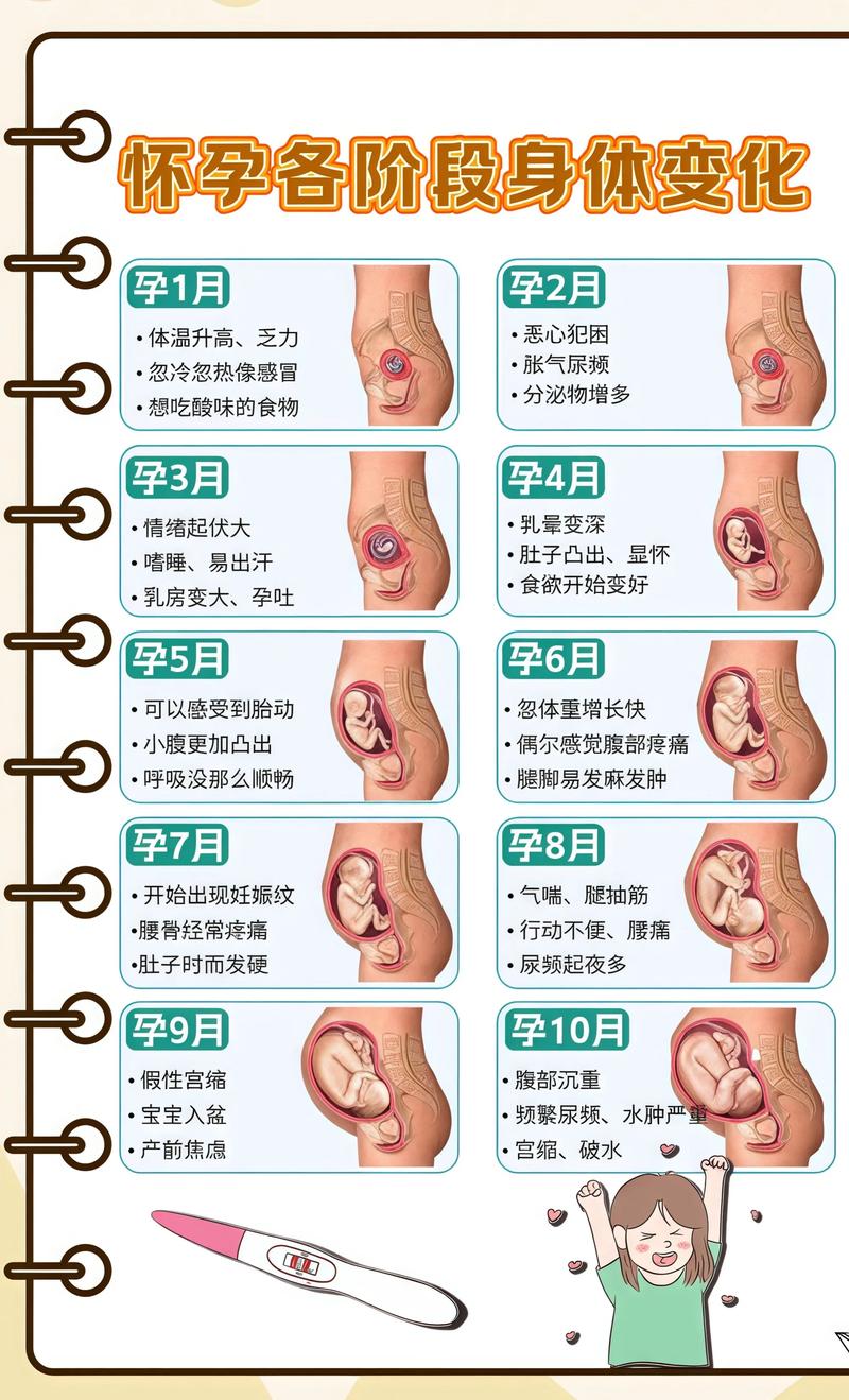 揭秘供卵代孕妈妈怀孕小腹分两节，孕期变化的奥秘无锡代生机构: